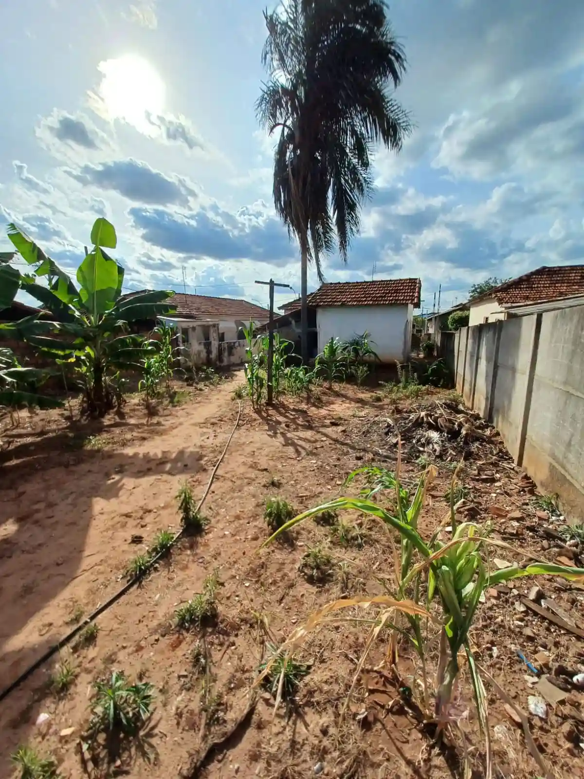 Casa com 2 quartos à venda, 484m² — foto 3 de 5
