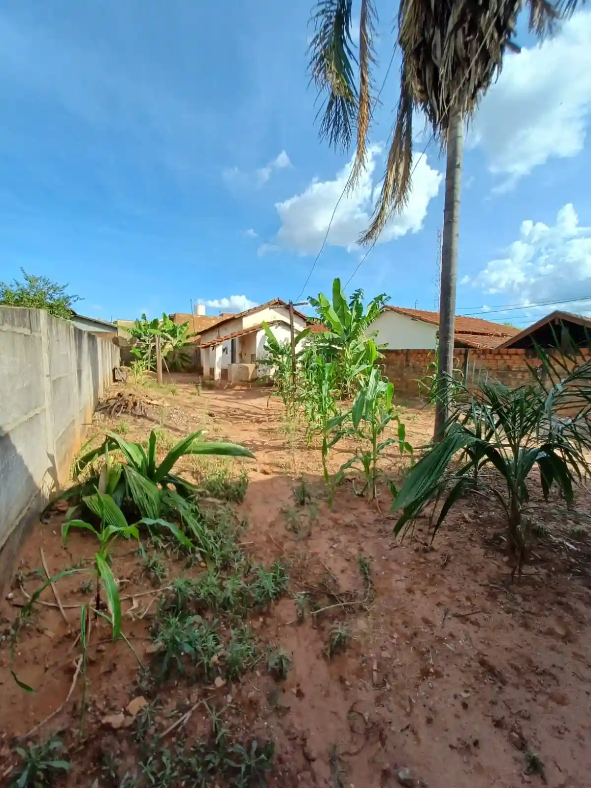 Casa com 2 quartos à venda, 484m² — foto 4 de 5