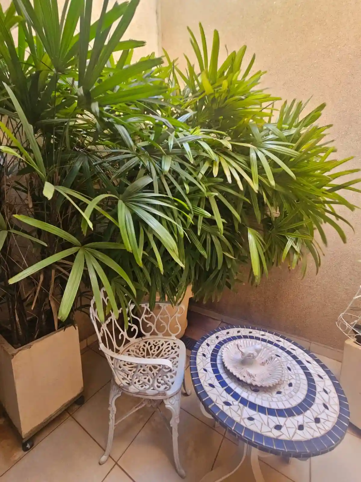 Casa com 3 quartos à venda, 10m² — foto 2 de 12
