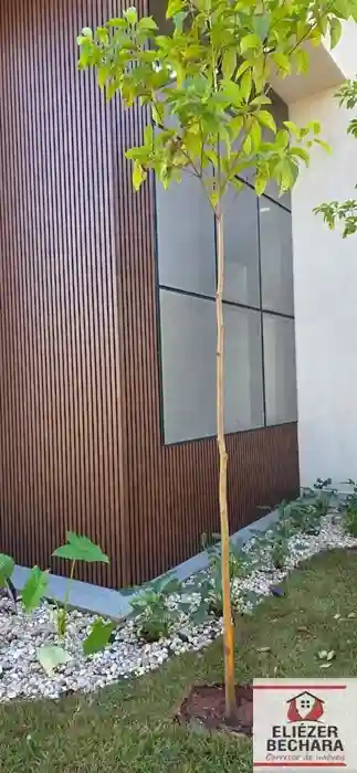 Casa de Condomínio com 3 quartos à venda, 215m² — foto 33 de 43