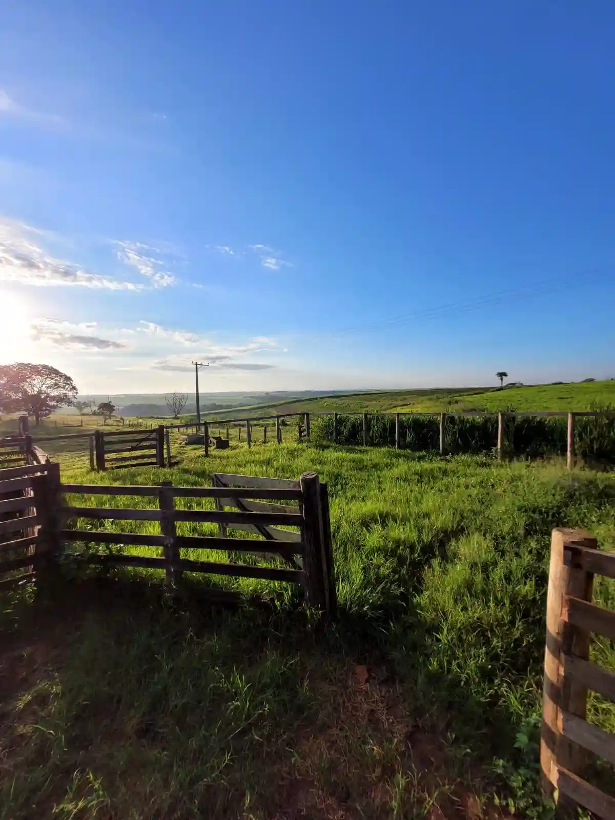 Fazenda / Sítio / Chácara  à venda, 330000m² — foto 5 de 11