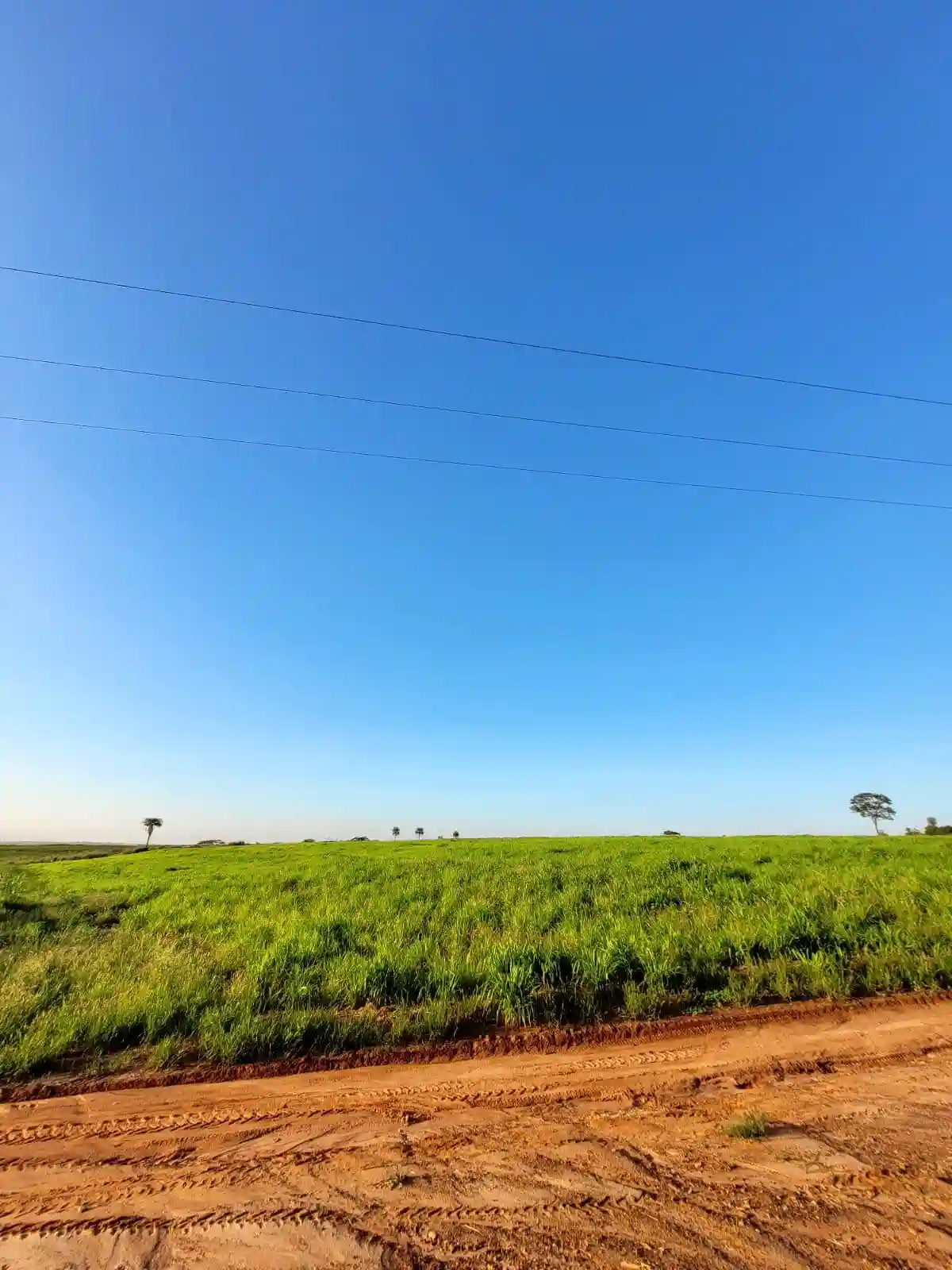 Fazenda / Sítio / Chácara  à venda, 330000m² — foto 9 de 11