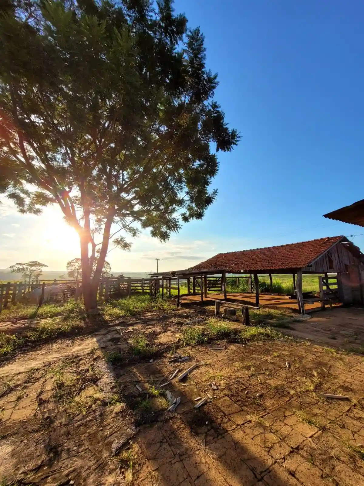 Fazenda / Sítio / Chácara  à venda, 330000m² — foto 4 de 11