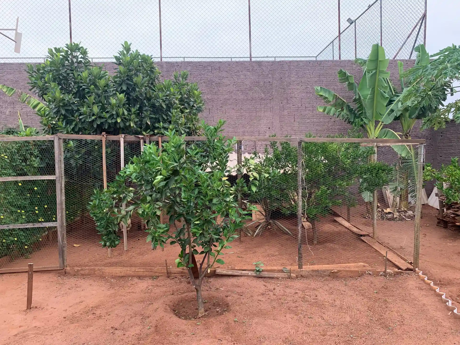 Casa de Condomínio com 3 quartos à venda, 1000m² — foto 44 de 47