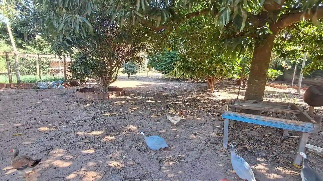 Fazenda / Sítio / Chácara com 3 quartos à venda, 7200m² — foto 35 de 38