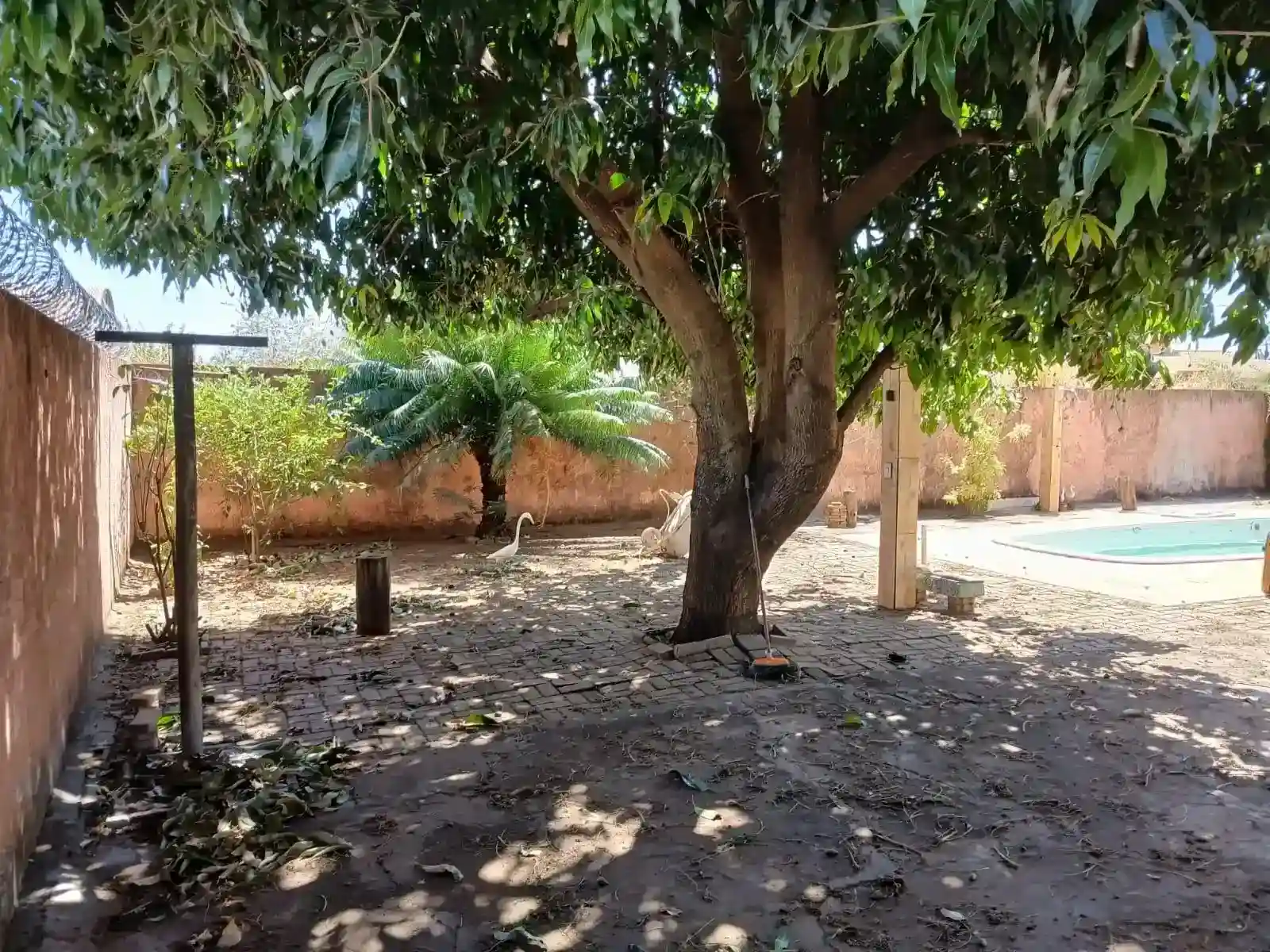 Casa com 3 quartos para aluguel, 390m² — foto 45 de 48
