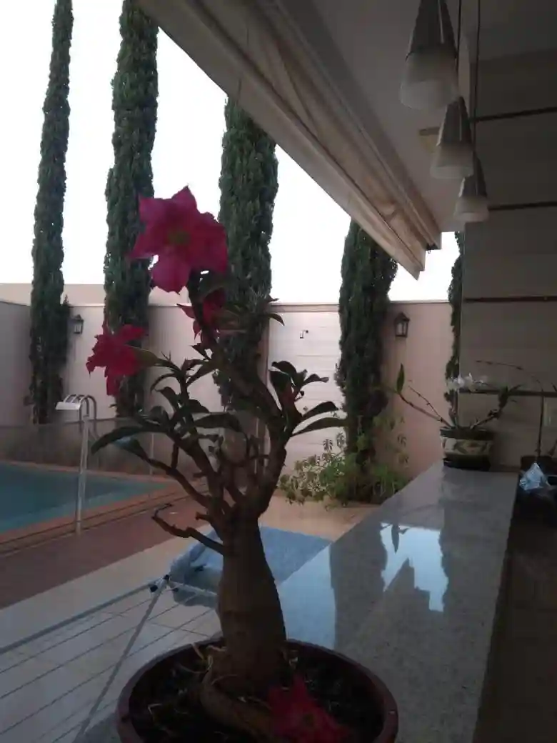 Casa de Condomínio com 4 quartos à venda, 380m² — foto 9 de 9