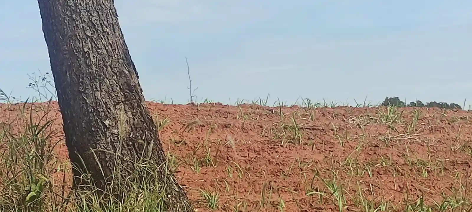 Fazenda / Sítio / Chácara  à venda, 363000m² — foto 8 de 10