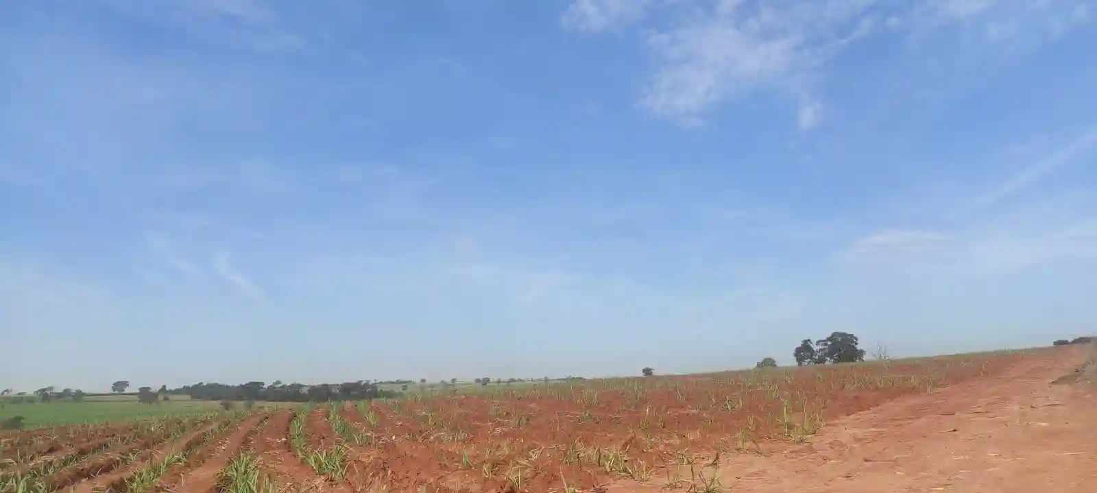 Fazenda / Sítio / Chácara  à venda, 363000m² — foto 7 de 10