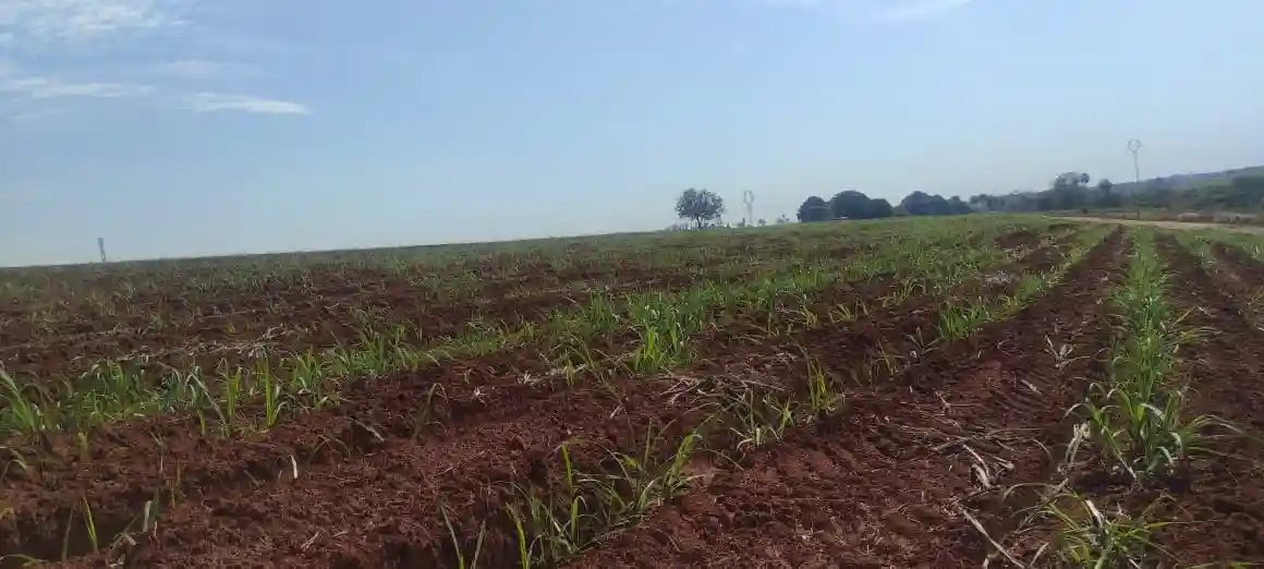 Fazenda / Sítio / Chácara  à venda, 363000m² — foto 9 de 10