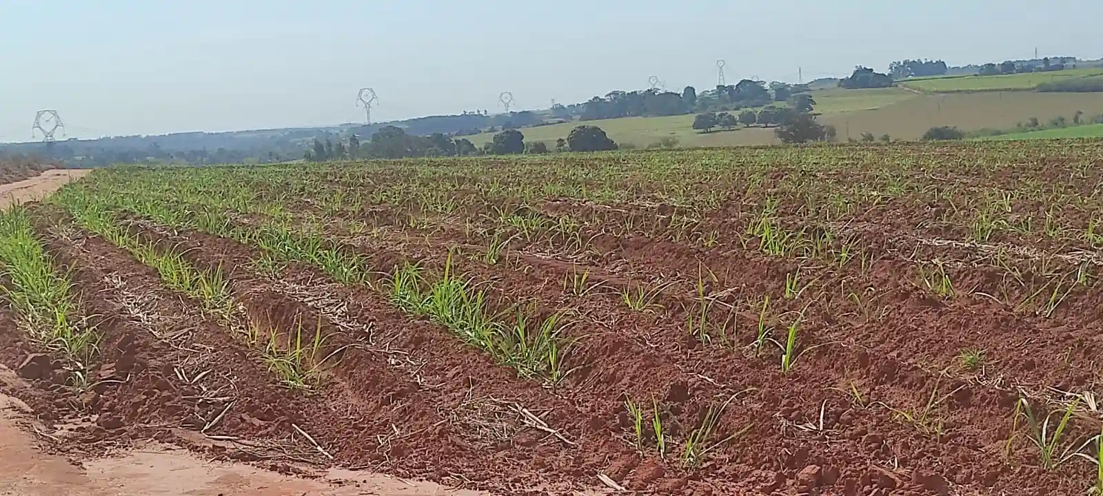 Fazenda / Sítio / Chácara  à venda, 363000m² — foto 5 de 10