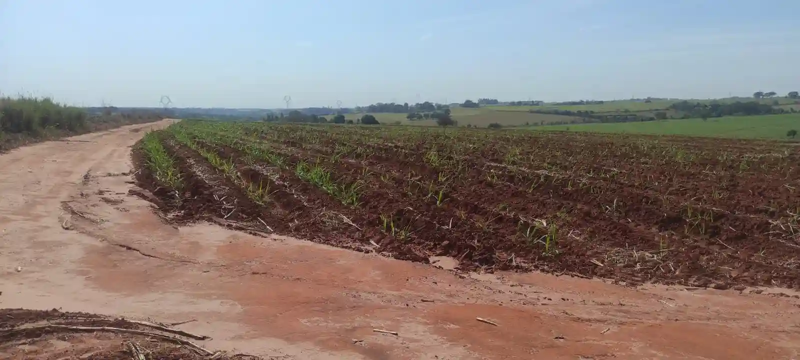 Fazenda / Sítio / Chácara  à venda, 363000m² — foto 6 de 10