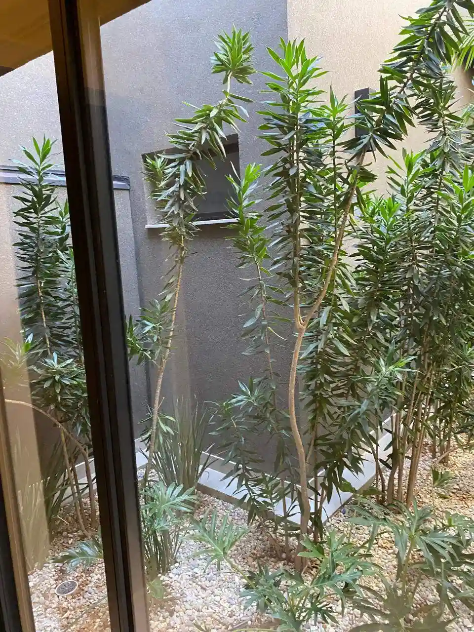 Casa de Condomínio com 3 quartos à venda, 250m² — foto 30 de 36