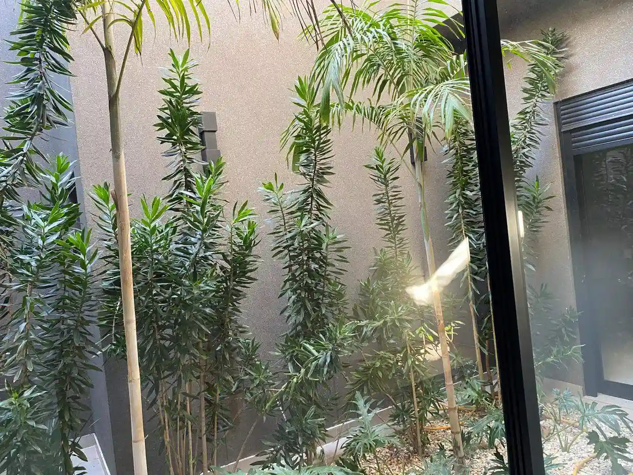 Casa de Condomínio com 3 quartos à venda, 250m² — foto 31 de 36