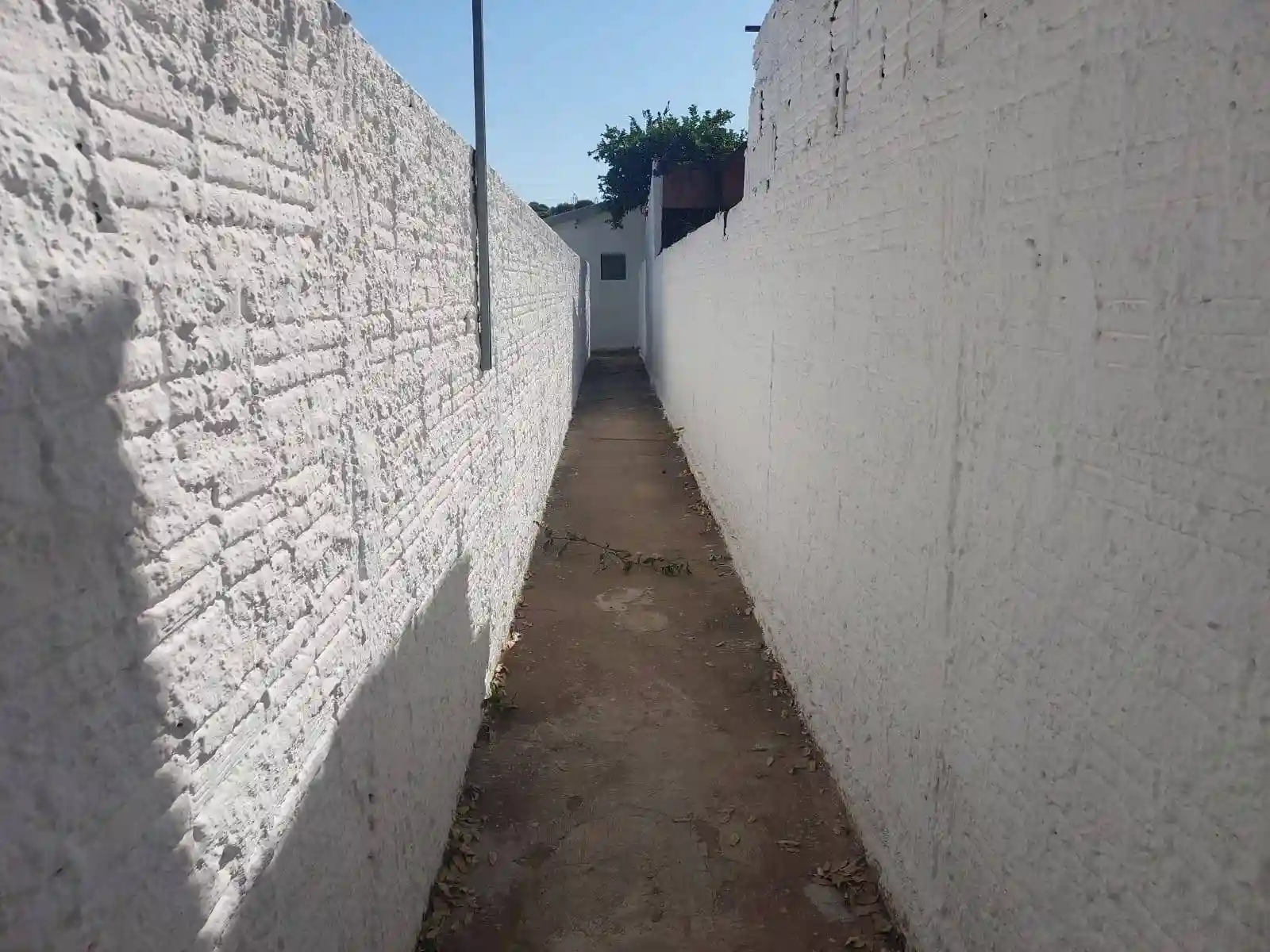 Casa com 1 quarto para aluguel, 50m² — foto 2 de 9