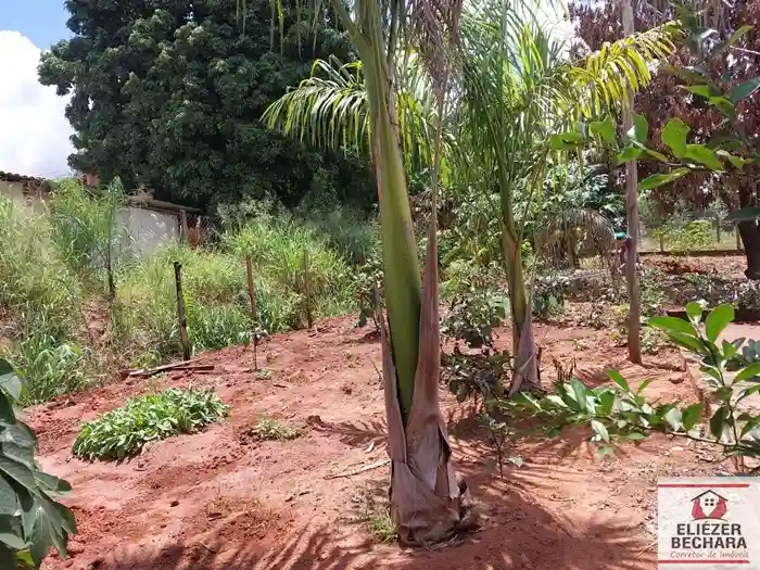 Fazenda / Sítio / Chácara com 3 quartos à venda, 2000m² — foto 19 de 19