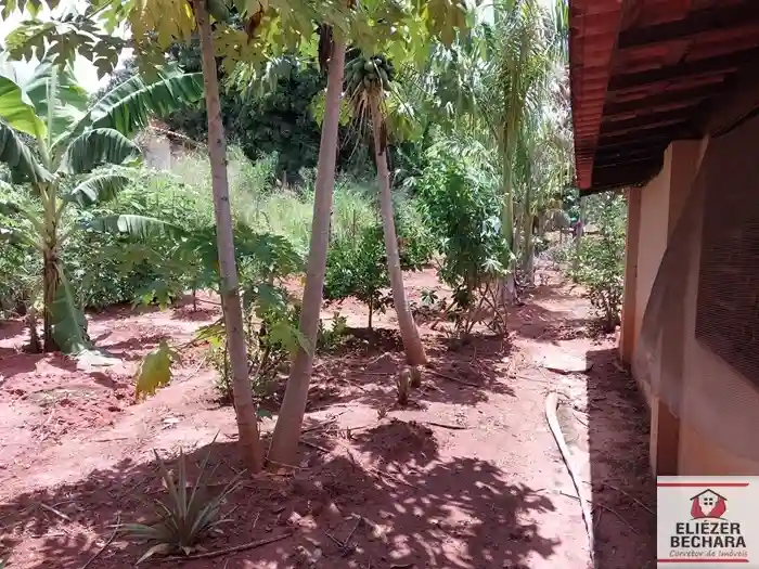 Fazenda / Sítio / Chácara com 3 quartos à venda, 2000m² — foto 17 de 19