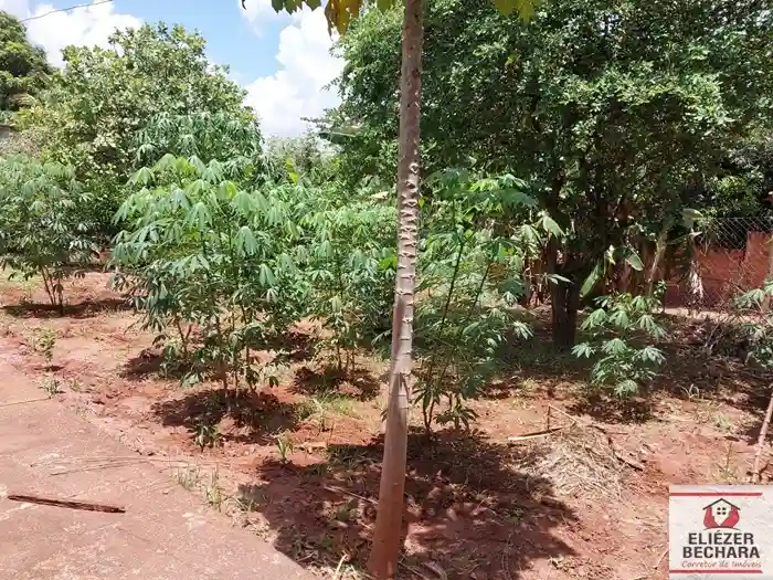 Fazenda / Sítio / Chácara com 3 quartos à venda, 2000m² — foto 16 de 19
