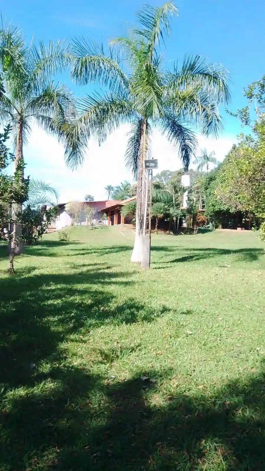 Fazenda / Sítio / Chácara com 4 quartos à venda, 6000m² — foto 10 de 46