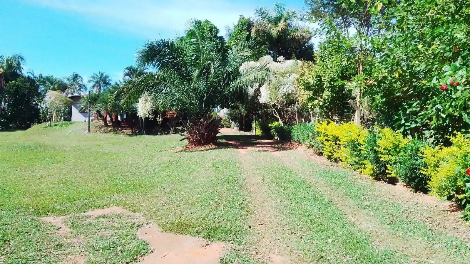 Fazenda / Sítio / Chácara com 4 quartos à venda, 6000m² — foto 32 de 46
