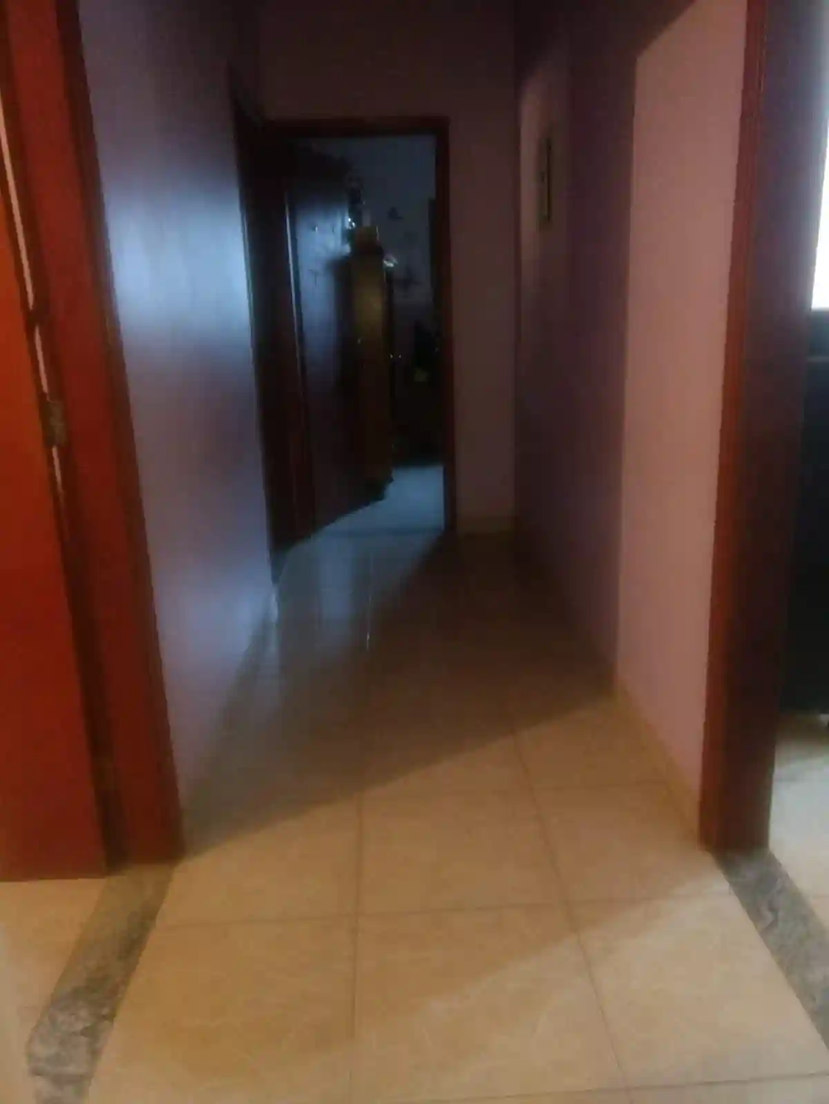 Fazenda / Sítio / Chácara com 4 quartos à venda, 6000m² — foto 7 de 46
