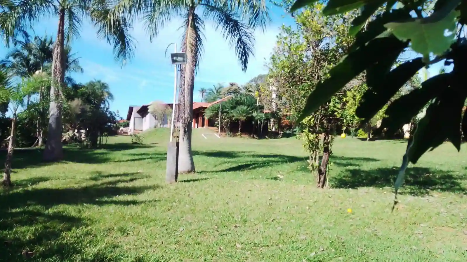 Fazenda / Sítio / Chácara com 4 quartos à venda, 6000m² — foto 28 de 46