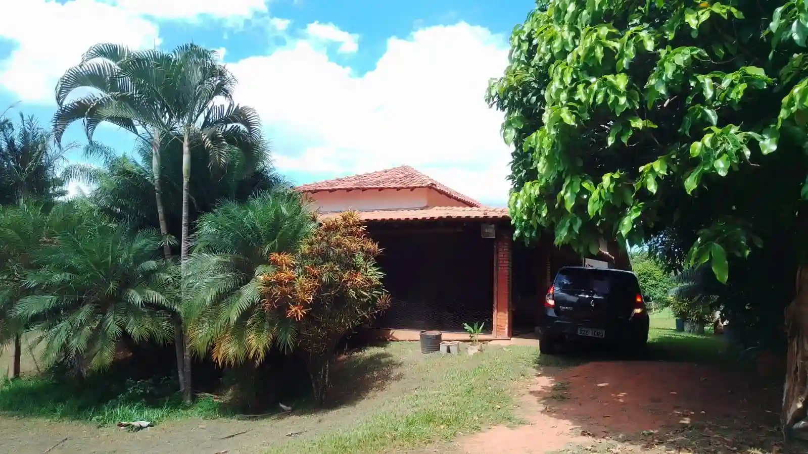 Fazenda / Sítio / Chácara com 4 quartos à venda, 6000m² — foto 14 de 46