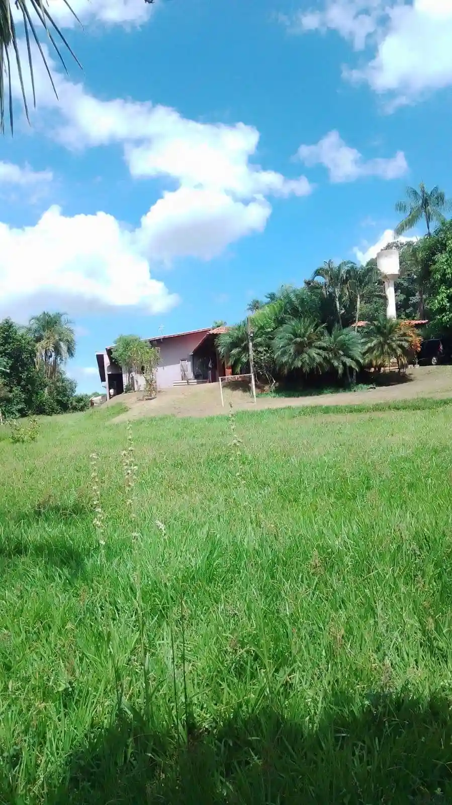 Fazenda / Sítio / Chácara com 4 quartos à venda, 6000m² — foto 36 de 46