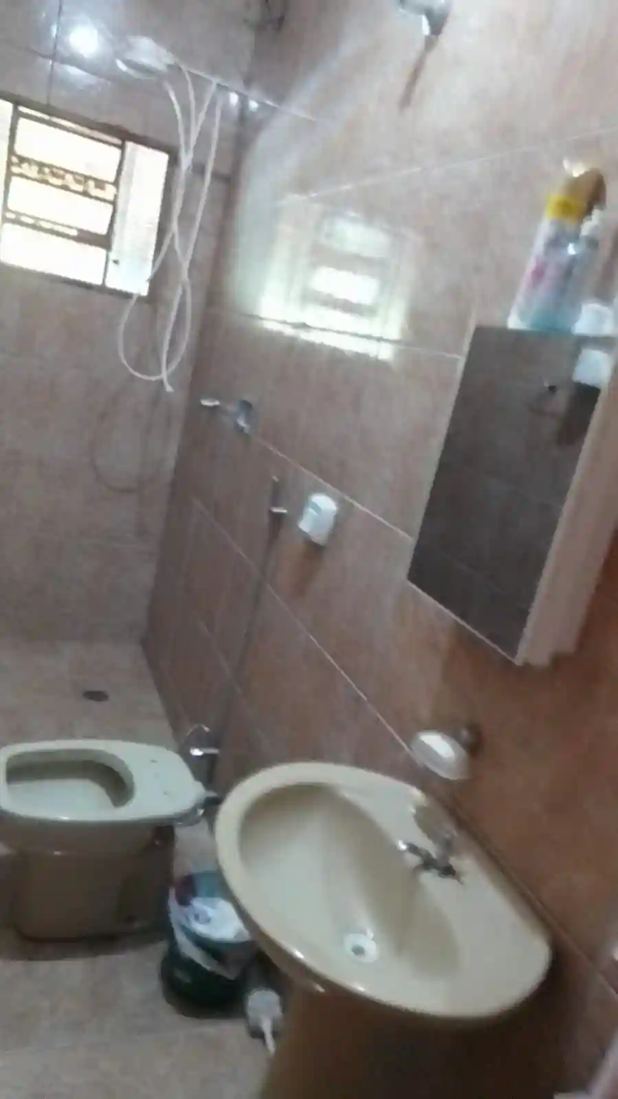 Fazenda / Sítio / Chácara com 4 quartos à venda, 6000m² — foto 40 de 46