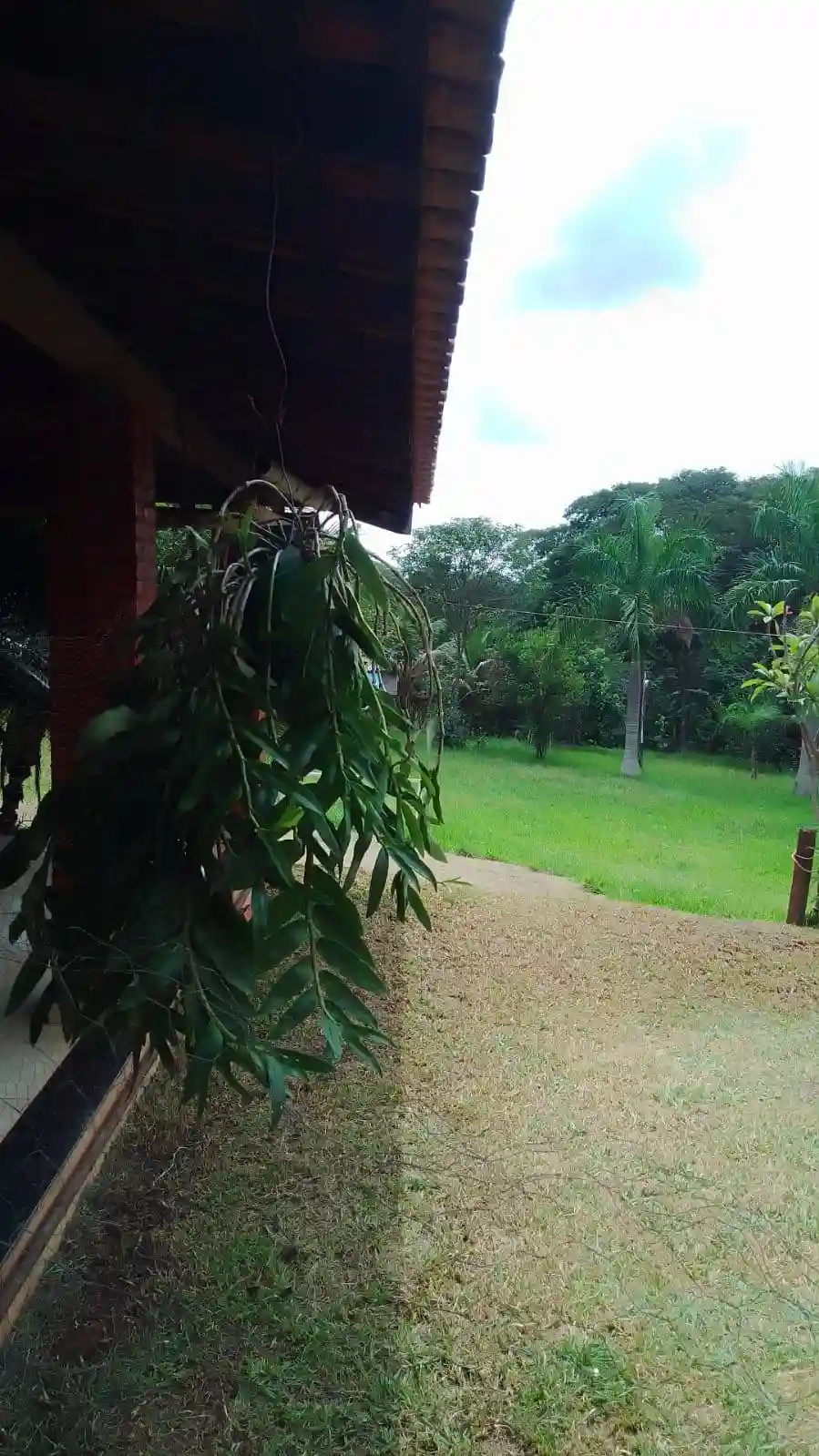 Fazenda / Sítio / Chácara com 4 quartos à venda, 6000m² — foto 30 de 46