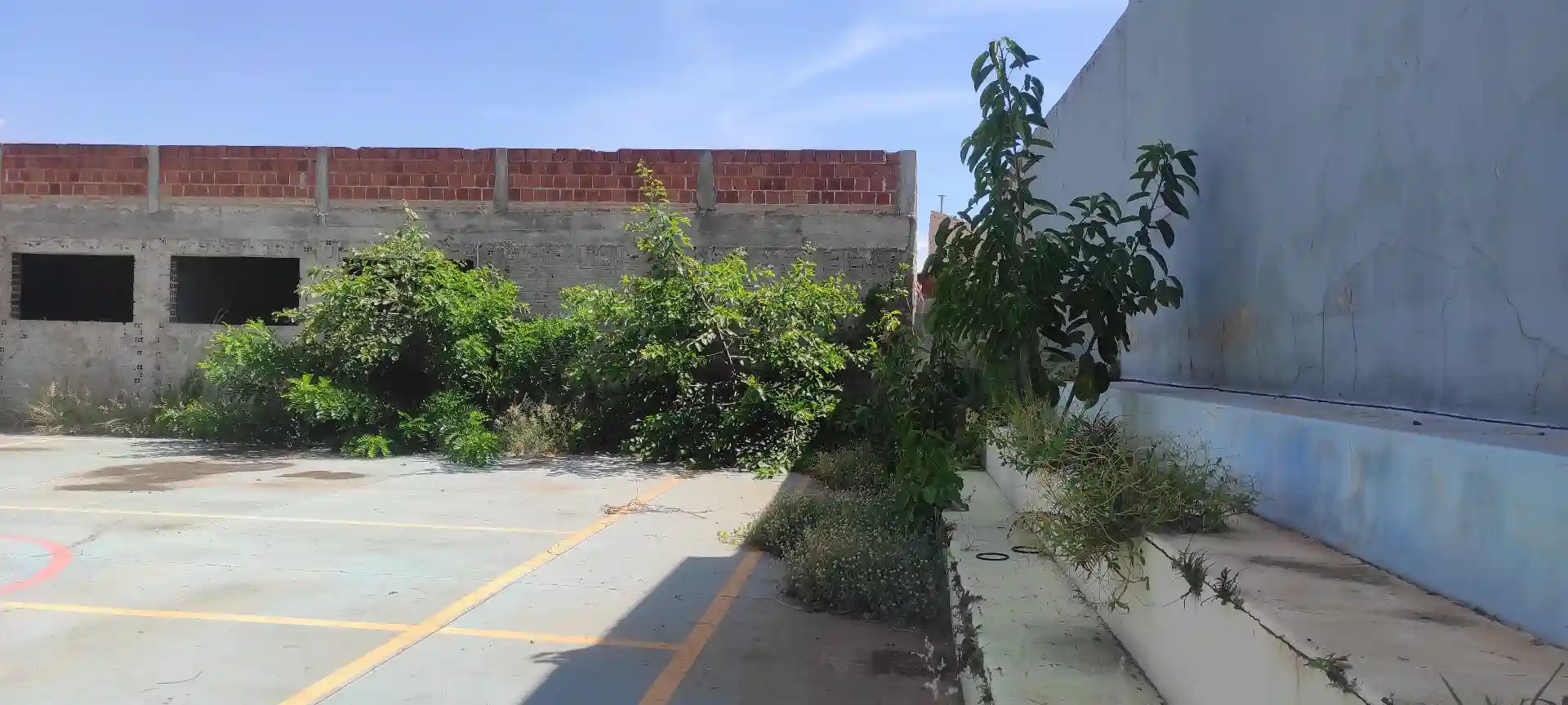 Imóvel Comercial com 13 quartos para aluguel, 2100m² — foto 5 de 24