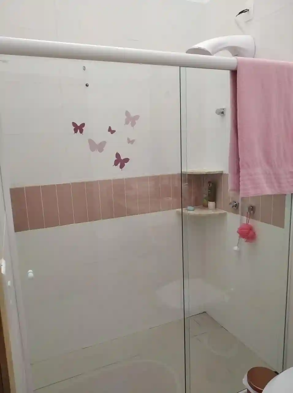 Fazenda / Sítio / Chácara com 4 quartos à venda, 500m² — foto 3 de 9