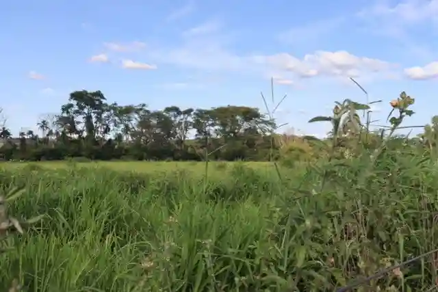 Fazenda / Sítio / Chácara  à venda, 48000m² — foto 9 de 10