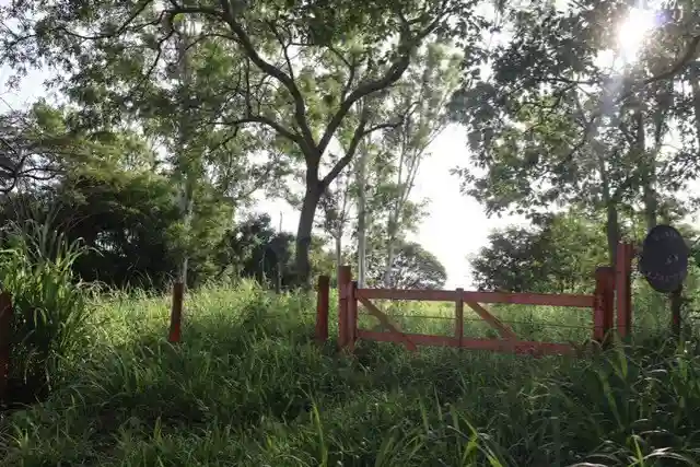 Fazenda / Sítio / Chácara  à venda, 48000m² — foto 6 de 10