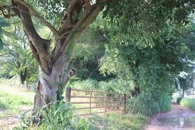 Fazenda / Sítio / Chácara  à venda, 48000m² — foto 7 de 10