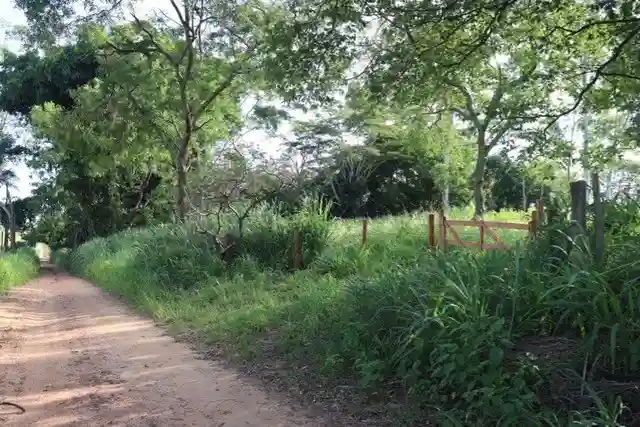 Fazenda / Sítio / Chácara  à venda, 48000m² — foto 8 de 10