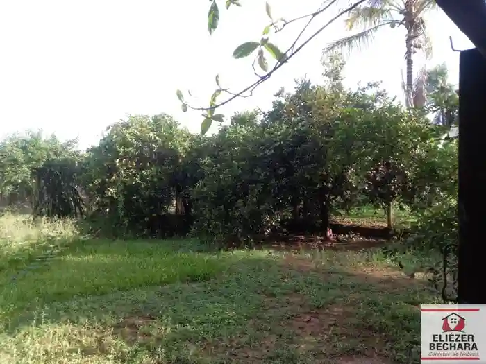 Fazenda / Sítio / Chácara à venda — foto 11 de 22