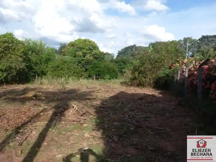 Fazenda / Sítio / Chácara à venda — foto 20 de 22