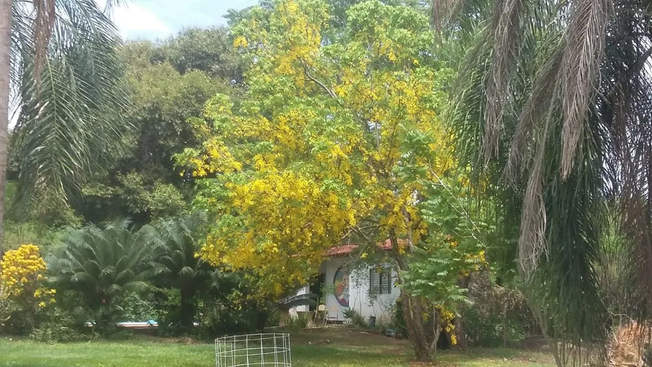 Fazenda / Sítio / Chácara à venda — foto 4 de 9