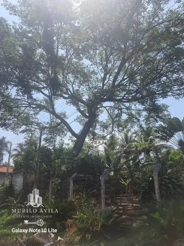Fazenda / Sítio / Chácara com 3 quartos à venda, 1000m² — foto 11 de 12