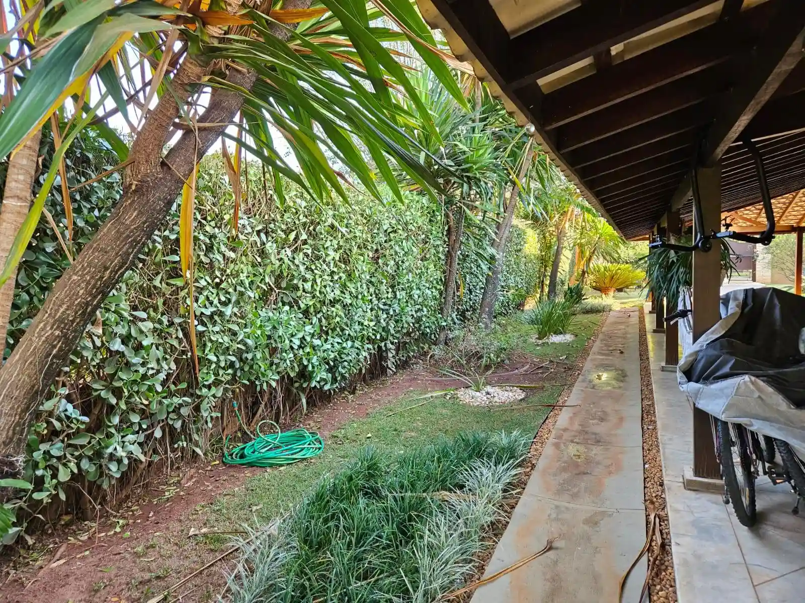 Fazenda / Sítio / Chácara com 4 quartos à venda, 2500m² — foto 32 de 50