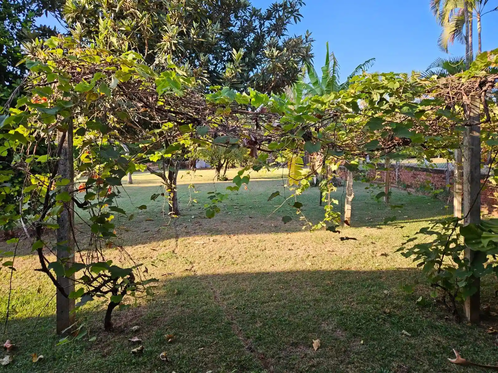 Fazenda / Sítio / Chácara com 4 quartos à venda, 2500m² — foto 37 de 50