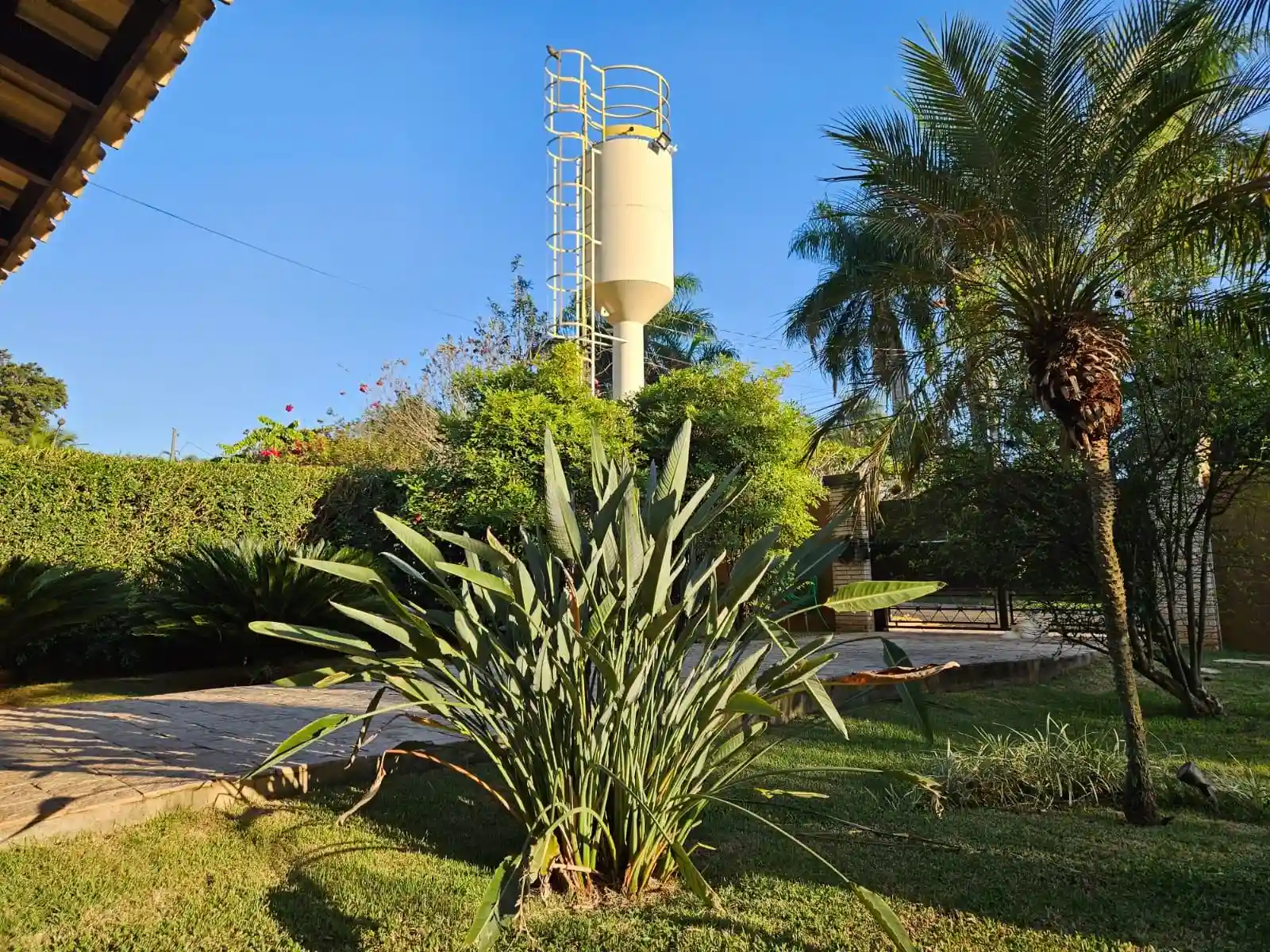 Fazenda / Sítio / Chácara com 4 quartos à venda, 2500m² — foto 18 de 50
