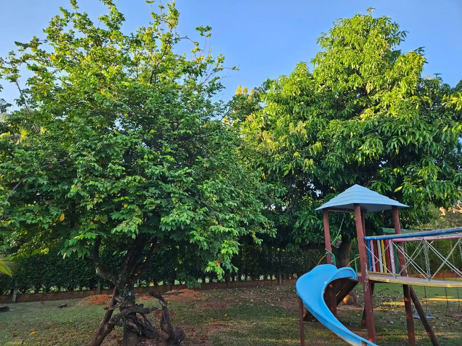 Fazenda / Sítio / Chácara com 4 quartos à venda, 2500m² — foto 41 de 50