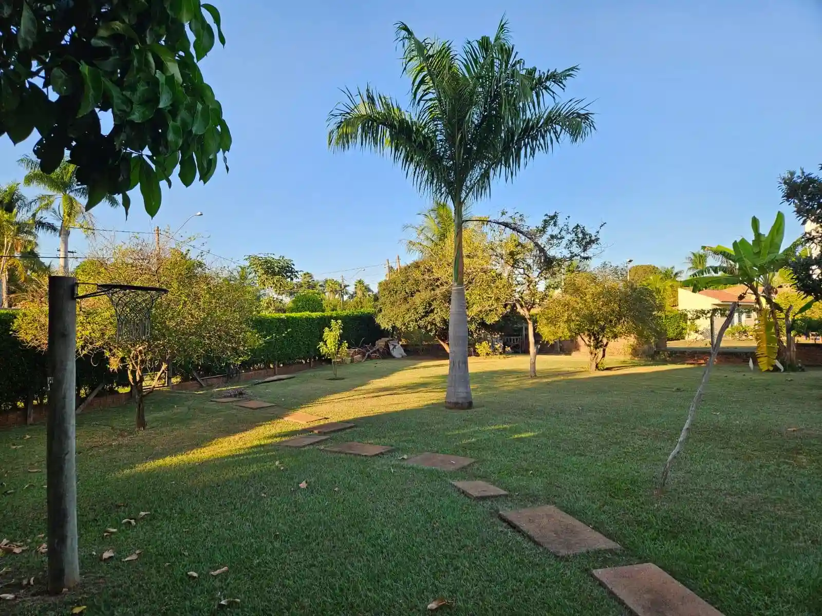Fazenda / Sítio / Chácara com 4 quartos à venda, 2500m² — foto 27 de 50