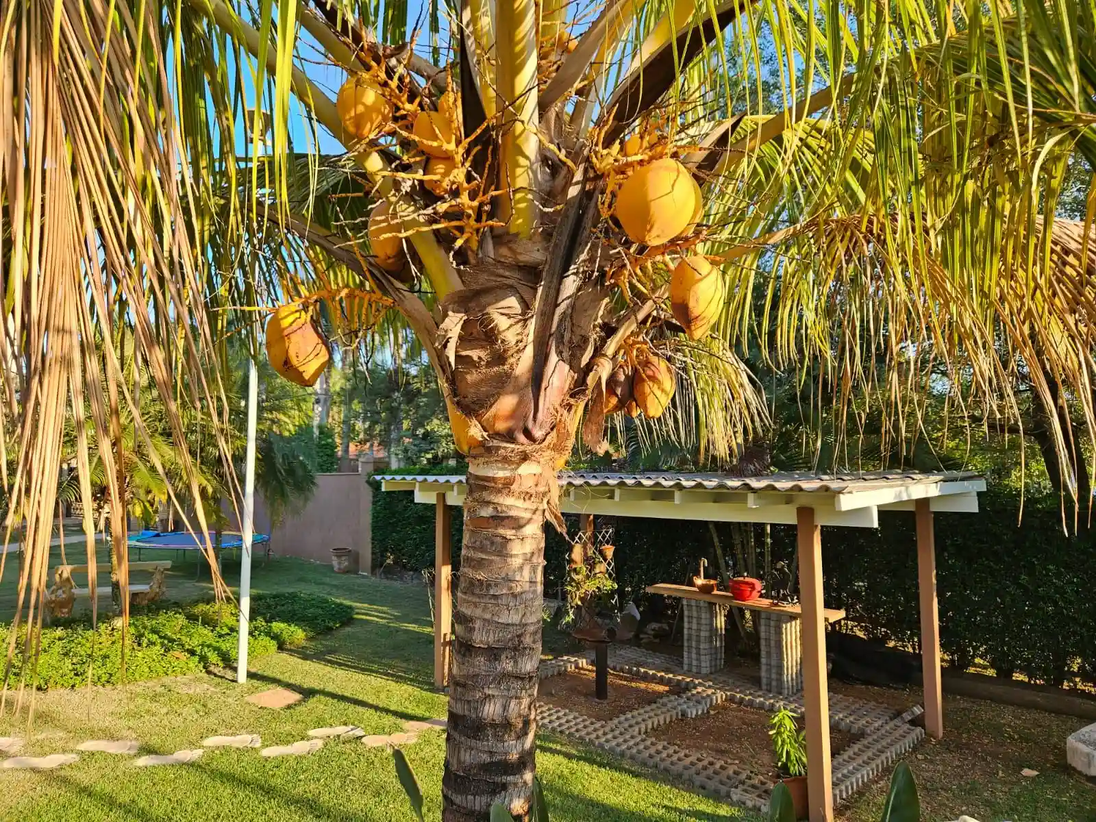 Fazenda / Sítio / Chácara com 4 quartos à venda, 2500m² — foto 15 de 50