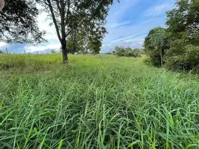 Fazenda / Sítio / Chácara  à venda, 144m² — foto 3 de 15