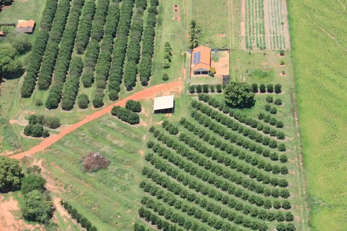 Fazenda / Sítio / Chácara  à venda, 144m² — foto 15 de 15