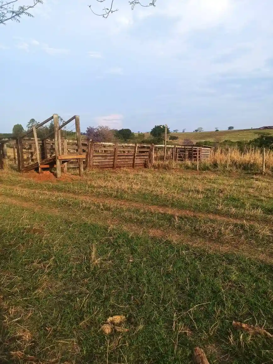 Fazenda / Sítio / Chácara  à venda, 144m² — foto 10 de 15