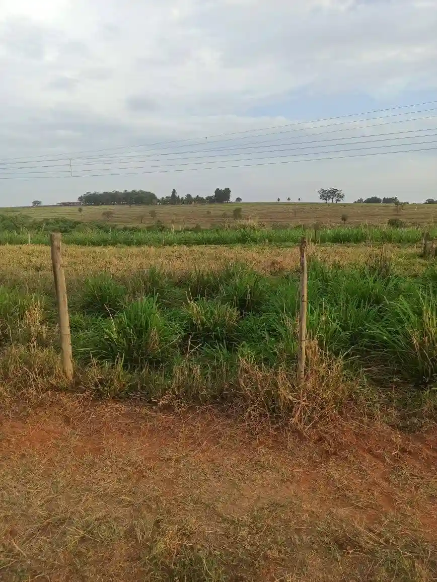 Fazenda / Sítio / Chácara  à venda, 144m² — foto 11 de 15